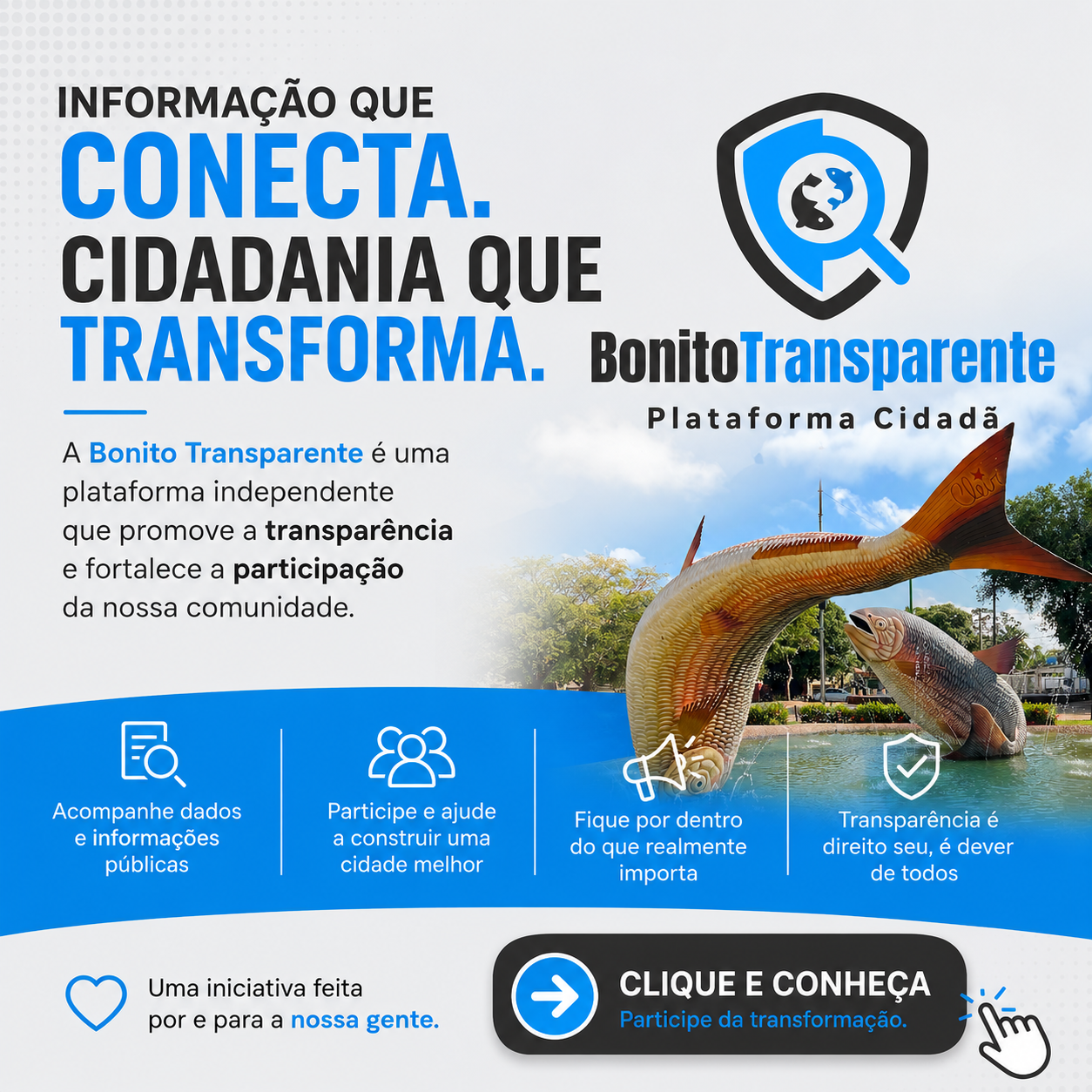 Bonito Transparente